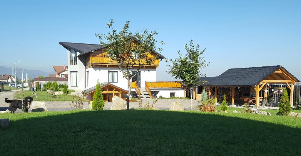 Villa Swiss Săcele Exterior photo